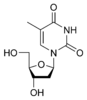 Estructura química de la timidina
