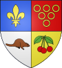 Escudo de Guyancourt