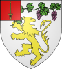 Escudo de Vigny