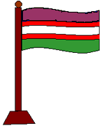 Bandera oficial de San Pedro