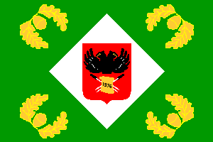 Bandera de Rigoitia