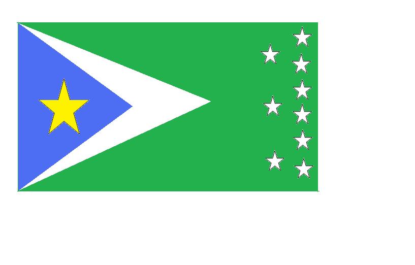 Futura Bandera de Capitanejo.jpg