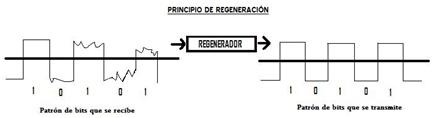 PrincipioRegeneracion2.jpg