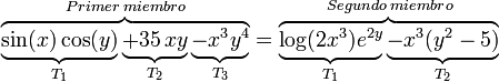 
     \overbrace{ 
          \underbrace{ \sin(x) \cos(y) }_{T_1}
          \underbrace{+ 35 \,x y }_{T_2}
          \underbrace{- x^3 y^4 }_{T_3}
     }^{Primer \; miembro}
     =
    \overbrace{ 
          \underbrace{ \log(2x^3) e^{2y} }_{T_1}
          \underbrace{- x^3 (y^2 -5) }_{T_2}
     }^{Segundo \; miembro}
